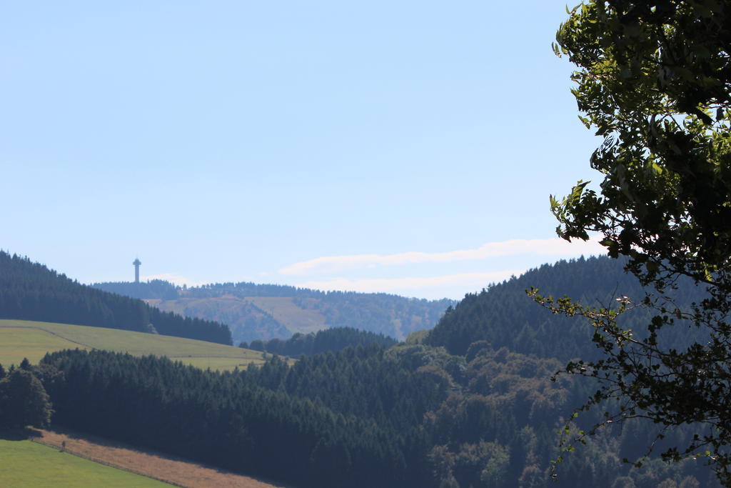 Ferienwohnung Emde Willingen  Zewnętrze zdjęcie