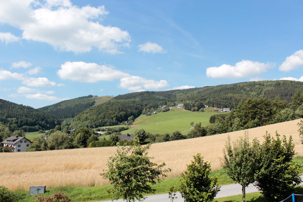 Ferienwohnung Emde Willingen  Zewnętrze zdjęcie